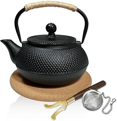 Cast Iron Teapot with Stainless Steel Infuser (22 oz)